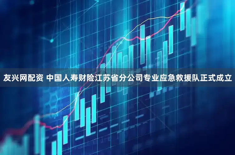 友兴网配资 中国人寿财险江苏省分公司专业应急救援队正式成立